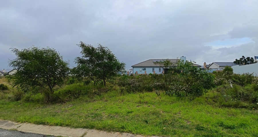 0 Bedroom Property for Sale in Fountains Estate Eastern Cape